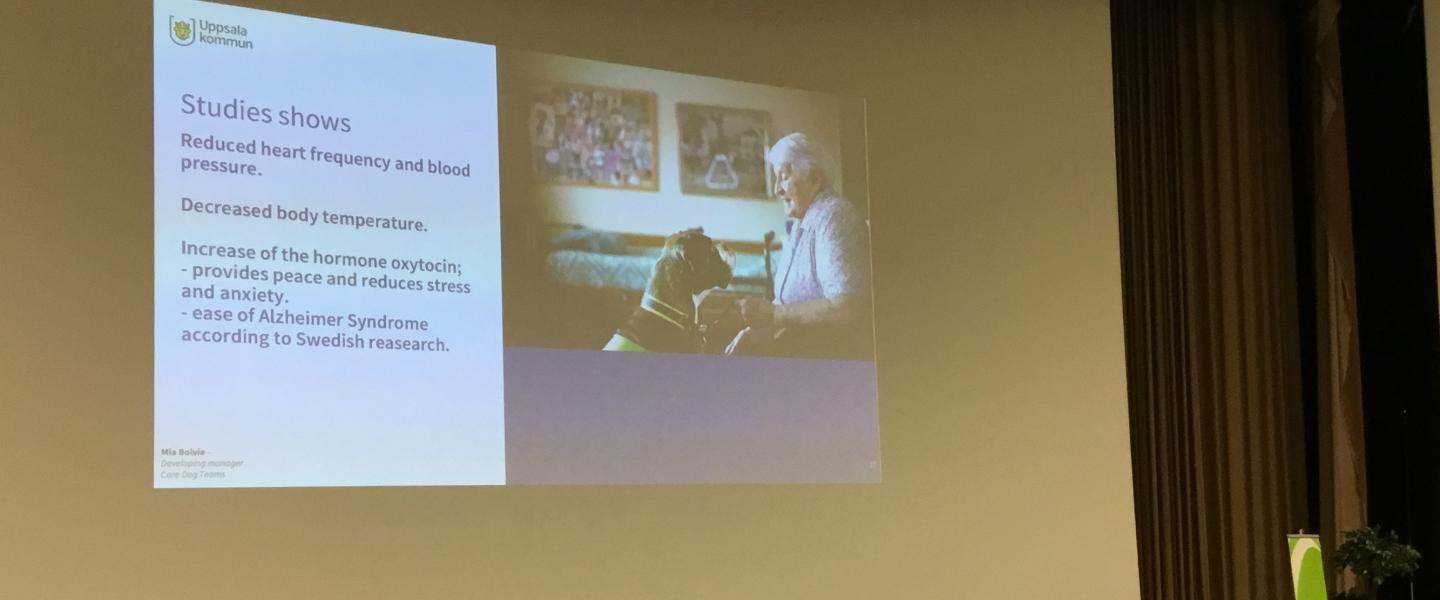 Koira-avusteinen kuntoutus kuva seminaarista Maria Boivie