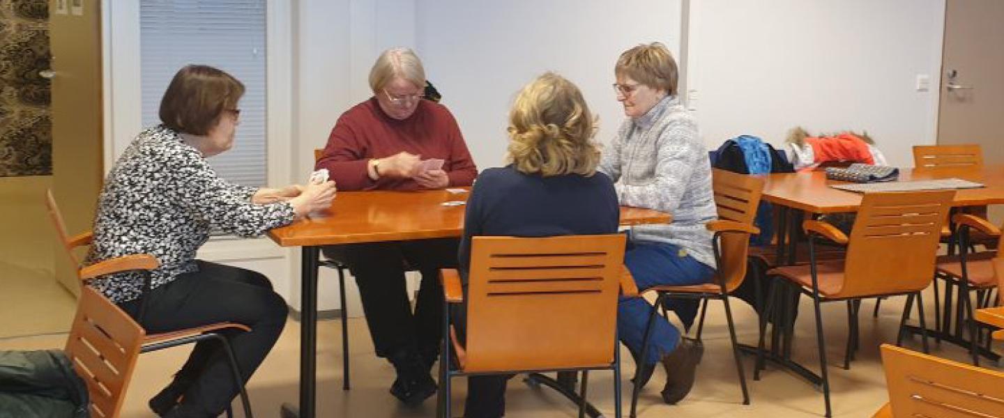 Tuppikerho naisten peli