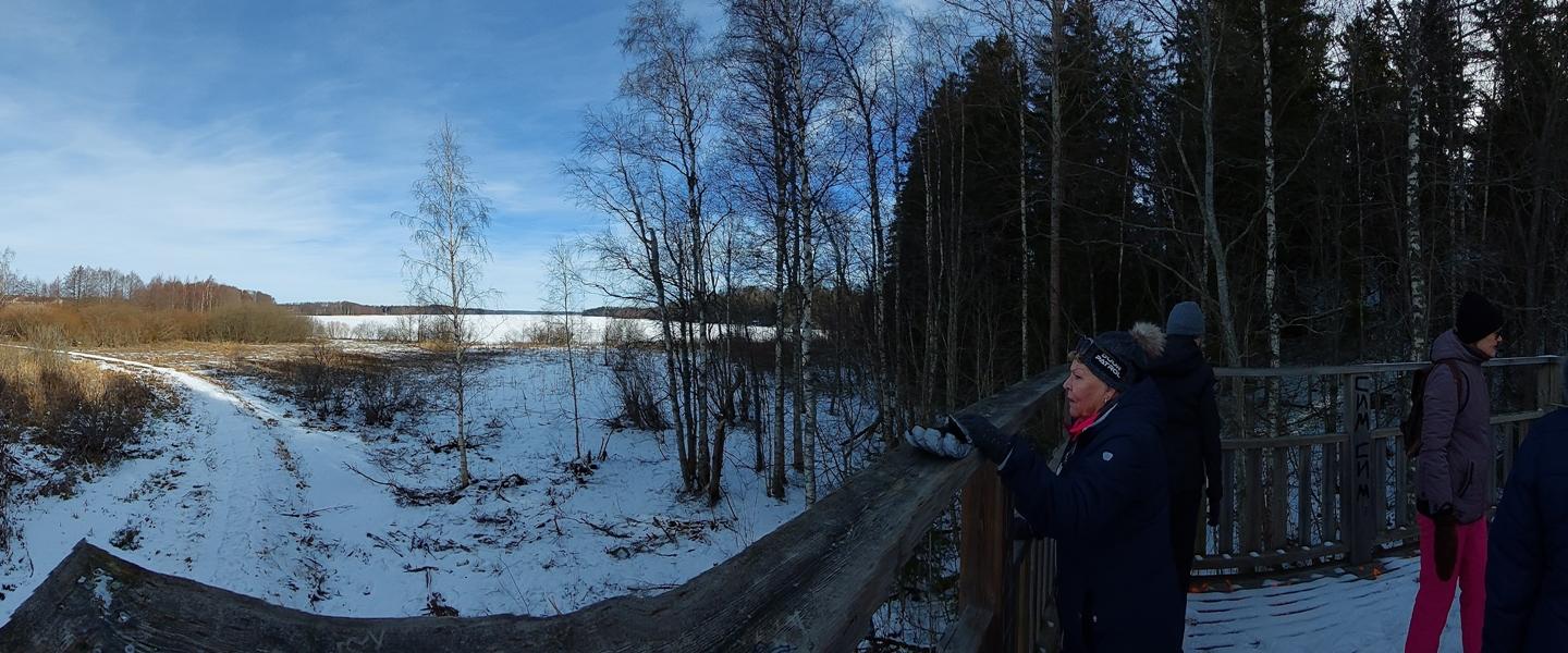 Näkymä Enäjärven lintutornista