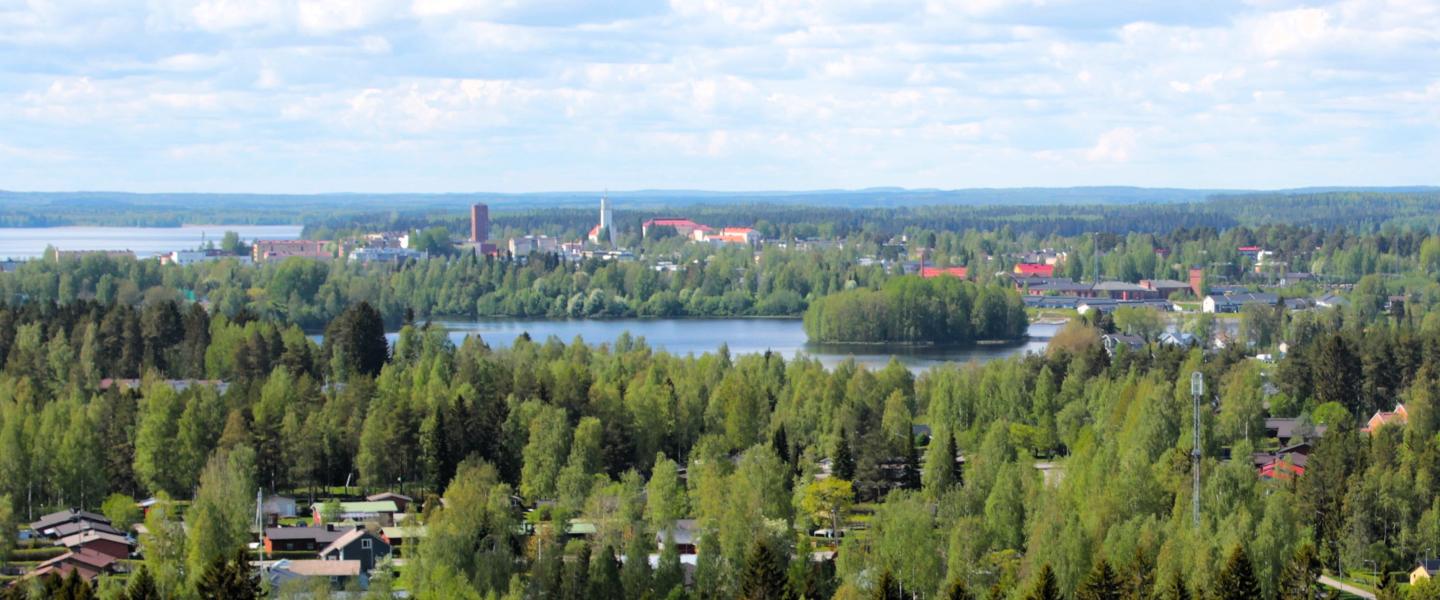 Paloisvuori