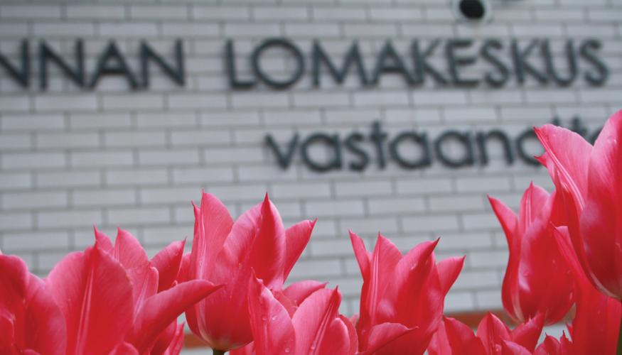 Lehmirannan -lomakeskus tekstin edessä punaisia tulppaaneja